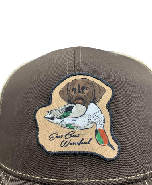 East Coast Waterfowl Teal Time Chocolate Lab Patch Hat
